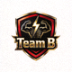 Team B战队官方logo，图案充满力量感